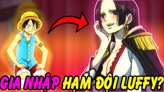 Ai Sẽ Theo Chân Luffy Vào Chiến Trường?!  | Những Người Sẽ Có Trong Hạm Đội Mũ Rơm