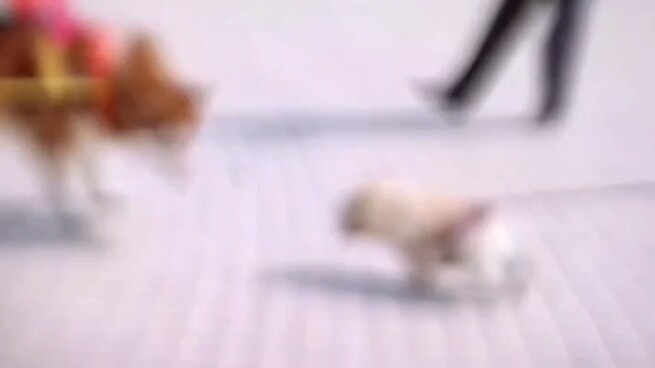 ฉันจริงจังมากนะ!!!