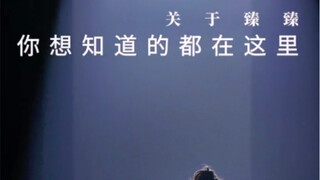 关于臻臻，你想知道的都在这里，还想知道什么，评论区留言吧