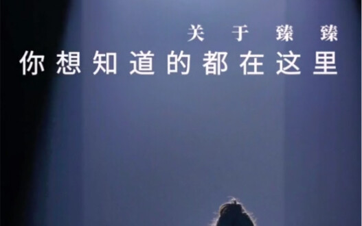 Everything you want to know about Zhenzhen is here. If you want to know anything else, please leave 