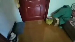 抱歉了，父亲，我们三个本是一起，可你的态度....哎，让我俩很难搞啊....