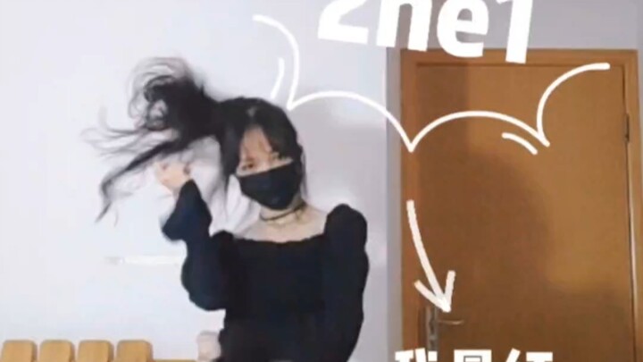 2ne1我最红翻跳