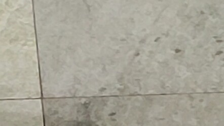There’s a Johnny Joestar right at the door—no joke.