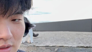 [Security Guard's Diary - Summoned Beast] The latest video is now available—come check it out!