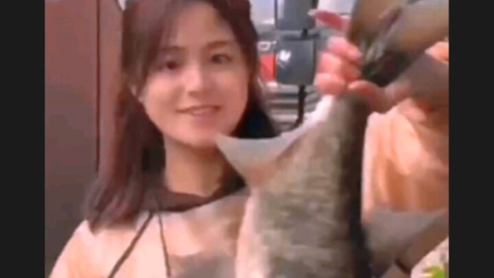 A cold ice fish is randomly shuffling cards on my face.