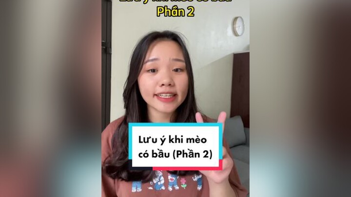 Lưu ý kho mèo có bầu mèo cat thaomeo LearnOnTikTok