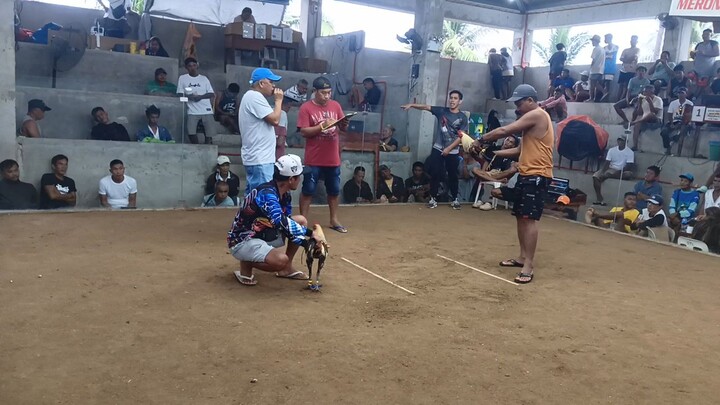 WH x DHG (WIN) (san andres quezon cockpit arena)