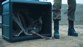 Invasi ALIEN dari luar angkasa dalam tubuh ASTRONOT