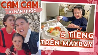 CAM CAM ĐI HÀN QUỐC NGẮM HOA ANH ĐÀO. 5 TIẾNG TRÊN MÁY BAY VÀ KINH NGHIỆM KHI ĐI CÙNG TRẺ NHỎ.