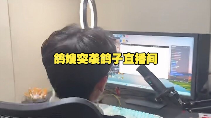 Sister Pigeon ambushes the pigeon’s livestream, scaring the pigeon half to death! Hilarious—(with a 