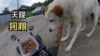 那些美好的动物视频！