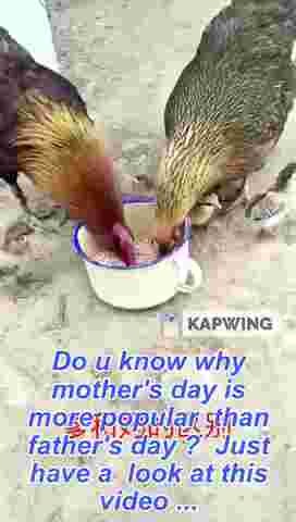 Mother chik