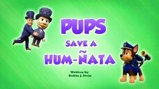 Paw Patrol Musim 10 Episode 12 Original