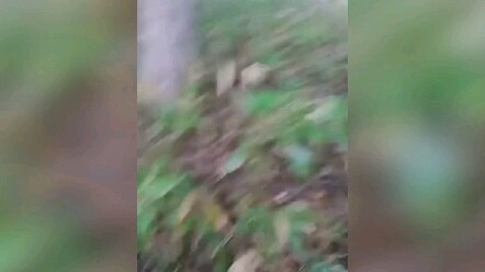 Why didn’t he call the police for help?