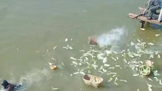 数智新农村 原来一个美国飞行员这么值钱 "