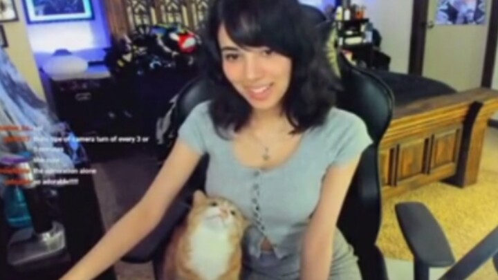 Kucing Keluarga Lain