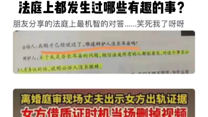 Trong phòng xử án đã từng xảy ra những chuyện thú vị gì?