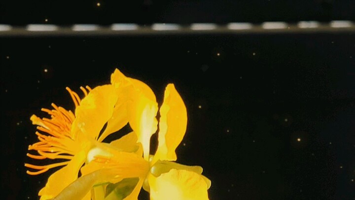 buổi tối ... vui vẻ nèk...suy tư tý nèk.