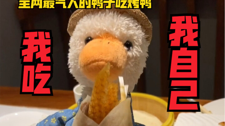 ฉันกินตัวเอง! เป็ดที่น่าโมโหมากที่สุดบนอินเทอร์เน็ต กำลังกินเป็ดย่าง…