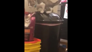 ตลกดี