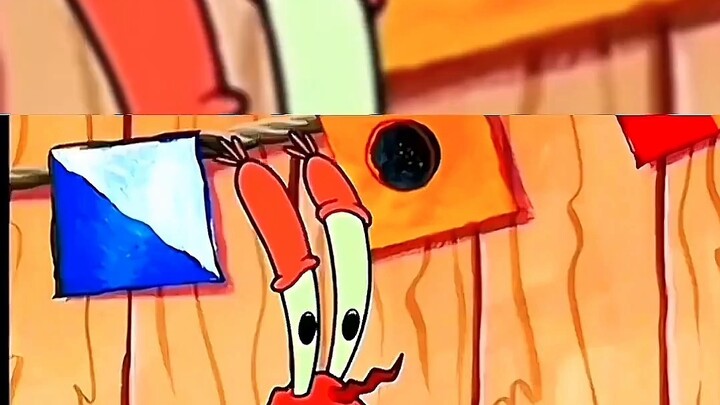 ⚡️The confusing behavior of marine life⚡️(41)