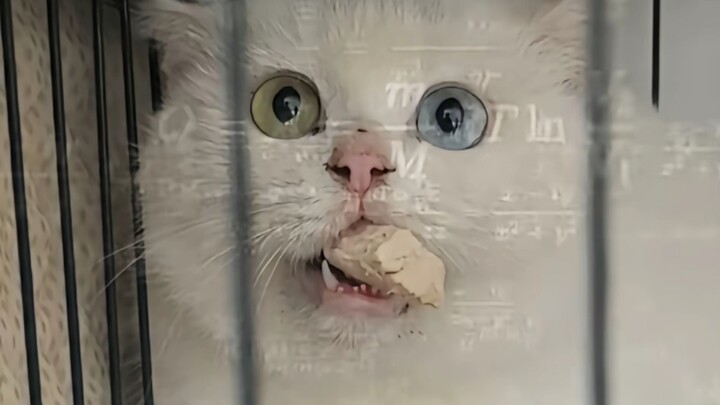 لوحات عالمية شهيرة: الحرية أم الشبع