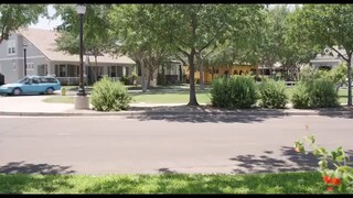 dadys /duogthers trip / comedy  full movie 2025