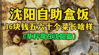 Seperti apa kotak makan siang swalayan di Shenyang yang berisi 50 atau 60 hidangan seharga 16 yuan? 