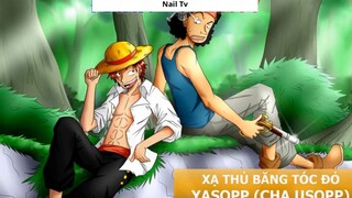 Tiền truy nã của Shanks, Benn Beckman, Yasopp và Lucky Roo [One Piece]- 3