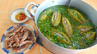 Nhái Dồn Khổ Qua • Thành Quả Một Đêm Chụp Nhái Của Ba Chú Cháu | MTQH