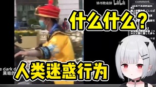 宝宝看人类迷惑行为大赏 中国有自己的佛罗里达