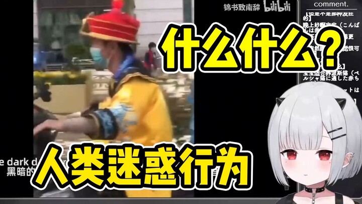 宝宝看人类迷惑行为大赏 中国有自己的佛罗里达