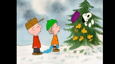 I Want a Dog for Christmas, Charlie Brown