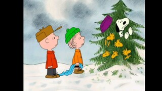 I Want a Dog for Christmas, Charlie Brown