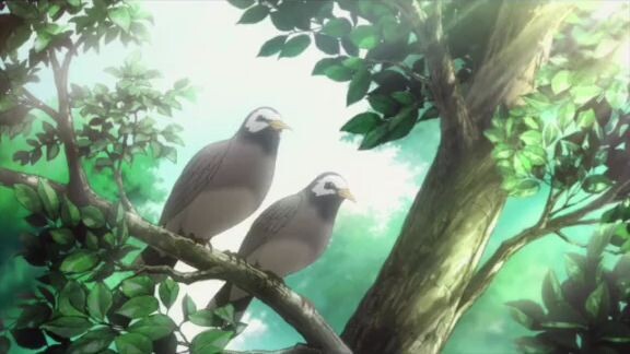 ANIME TITLE: MASHIRO NO OTO