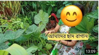 নিজের বাগানের সব্জি খাওয়ার মজাটাই অন্য রকম Ms Vlogs ll এত এত সব্জি 🥬🥦🫑🥗