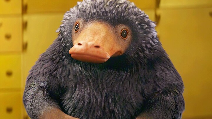 Decoding the story of the Niffler from “Harry Potter,” the “gold-swallowing beast” that can withstan