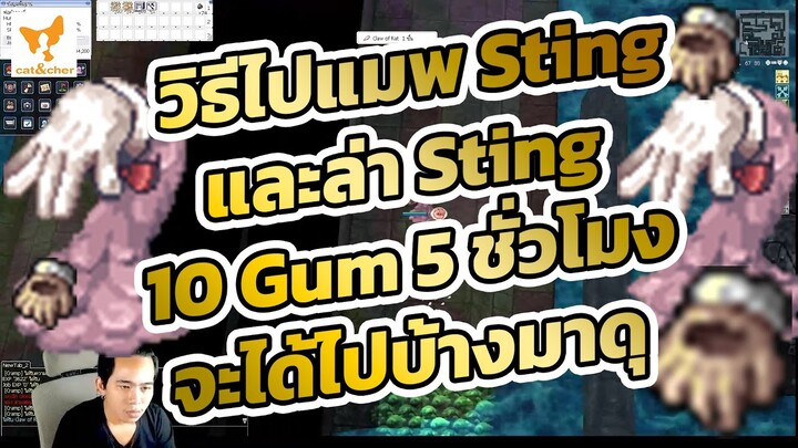 ragnarok classic วิธีมา MAP Sting และ ล่า Glove รู 10 Gum 5 ชั่วโมง จะได้อะไรไปบ้างมาดู