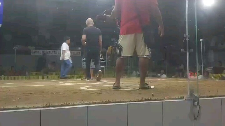 Anak ng 5xlemon 10months VS Cock na para Champion..