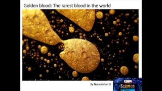 Golden Blood - The World's Rarest Blood Group