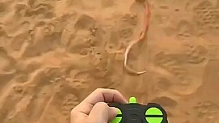 لقد أخافت صديقي تقريبًا.