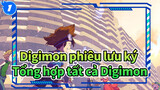 [Digimon phiêu lưu ký]Tổng hợp tất cả Digimon (Mùa đầu Tập14-20)_1