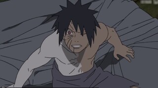 Tiểu sử Naruto: Hướng đạo sinh xuất sắc nhất thế giới Ninja! Kaguya rất tốt, đã học tiếng Anh và có 