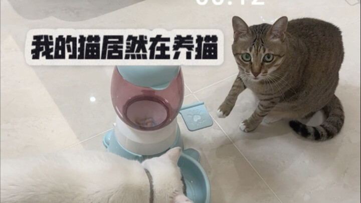 Dami benar-benar orang yang baik hati～