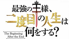 The Begining After The end( Saikyou no Ousam, Nidome no Jinsei wa Nani wo Suru?. )