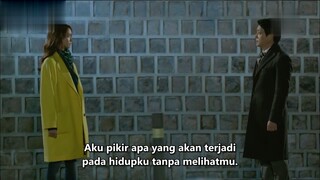 Prime Minister & I EPISODE 17 ( END )