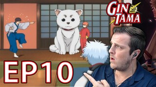 What is Sadaharu? | Gintama Episode 10 Reaction