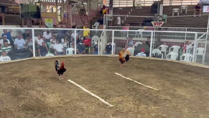 chalkvibes red (left)