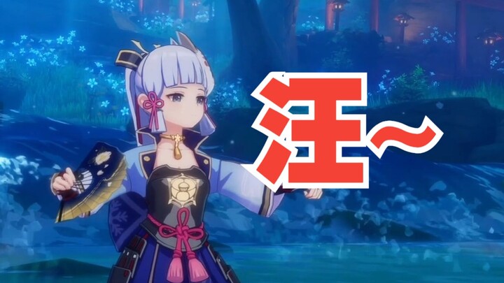 Kamisato Ayaka's dog +1