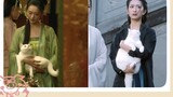 [Movies&TV]The Cat Gains Weight